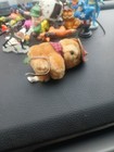 Bild 12 von 12