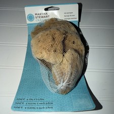 Natural Sea Sponge 6 Piece Craft Decor Unbleached Sponges