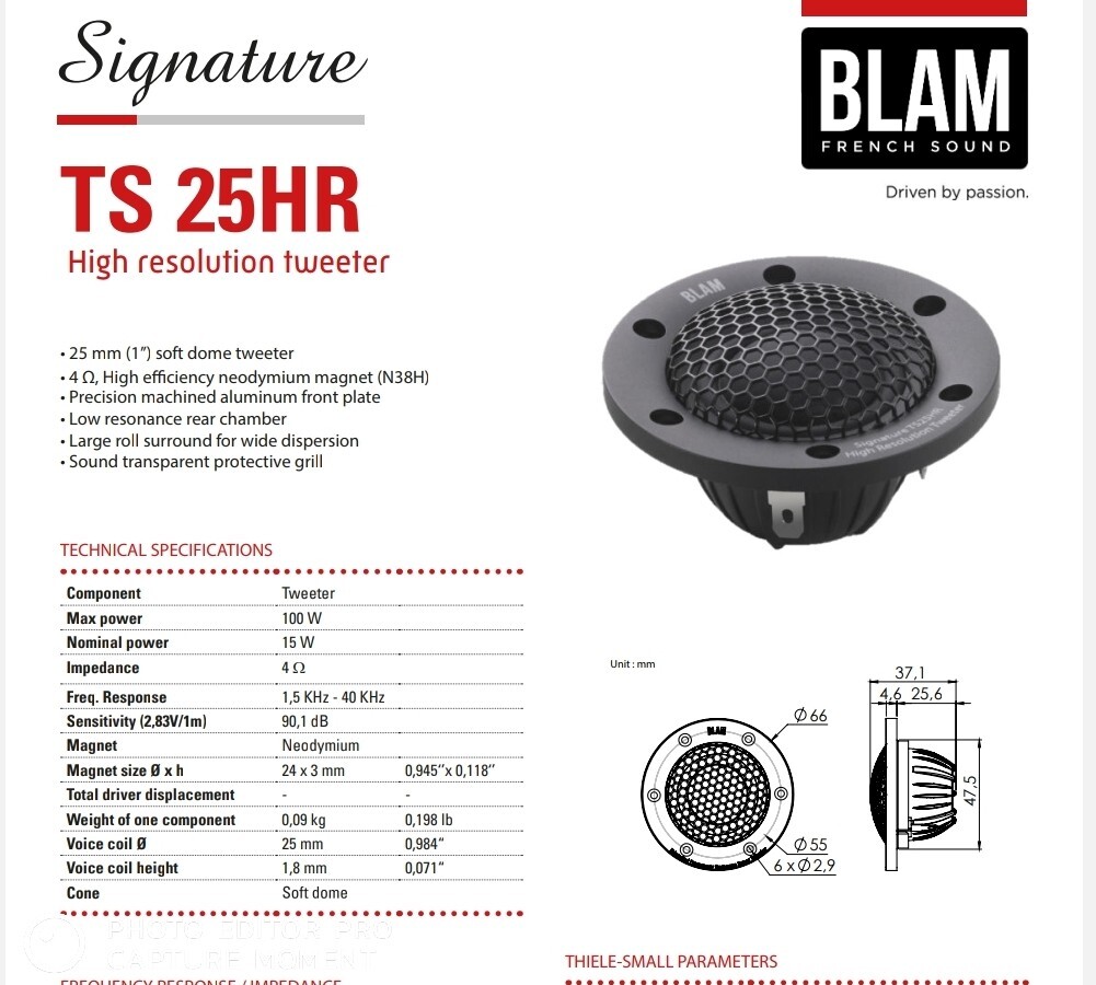美品　BLAM Signature TS25HR ツイーター Blam Signature TS25hr , Aluminum Pods for Blam Tweeters | eBay