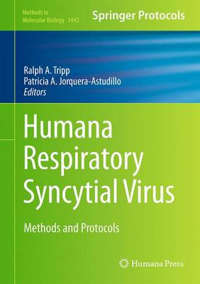 Human Respiratory Syncytial Virus - 9781493936854