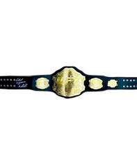 Chuck Liddell Cards, Rookie Cards and Autographed Memorabilia Guide 45