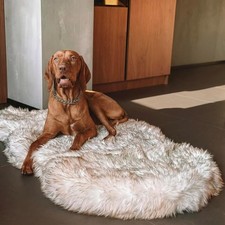 Luxury Faux Fur Orthopedic Dog Bed Memory Foam Dog Bed  White/Brown L/XL