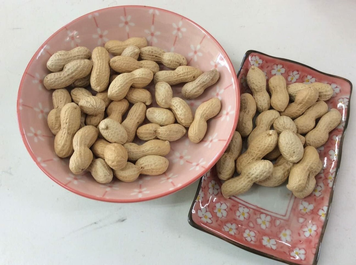 PEANUTS &Co    yachlmata　bero　美品 2J5A9966_fef41bd4-eb93-417f-