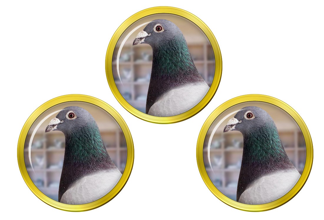 Pigeon Golf Ball Markers