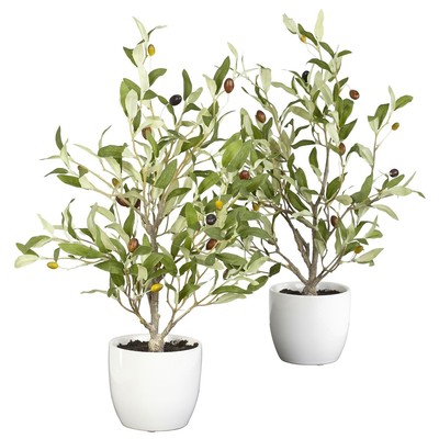 Nearly Natural 4774 18'' Set of 2 Olive Silk Tree in Pot (4774-S2)