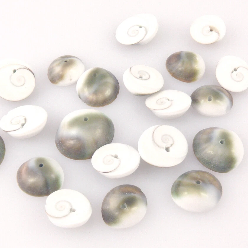 10 Perlmutt Perlen Muschelperlen 18mm weiß grün-braun Bastelperlen -1457 - Bild 2 von 2