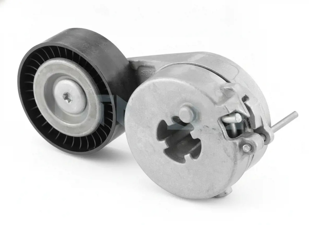 Snr Rullo Tenditore, Cinghia Poly-V Ga357.43 - Immagine 2