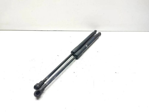 BMW 3 Coupe E92 Vordere linke Motorhaubendämpfer 7129190 2.00 Petrol 33643689