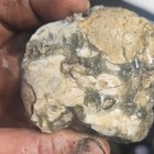 Agatized Chert/Banded Chert Rough Cabbing Lapidary, Mixed Lot of 4, 1lb 1.5oz — photo 2