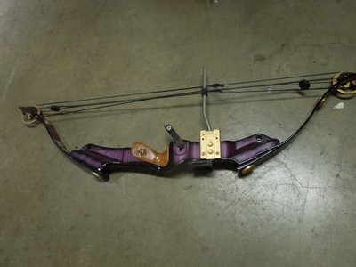 Golden Eagle Compound Bow Purple Ebay