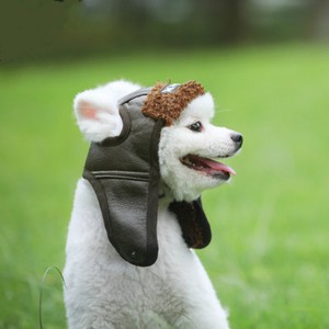 dog pilot hat