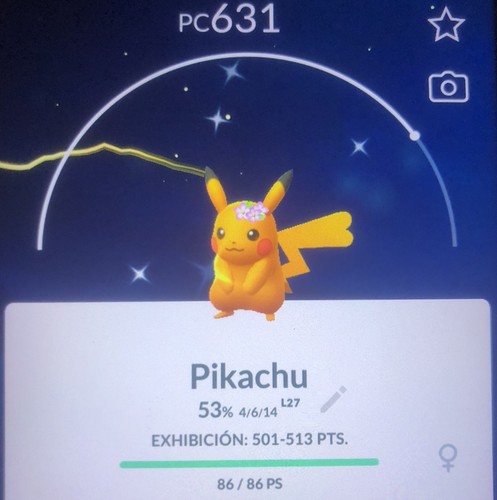 Trade✨shiny Pikachu Flower Crown ✨Pokemon (Reg. Trade)