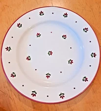 Pfalzkeramik Germany 8pc Set – 4 Bowls & 4 Plates Red Floral Landhaus