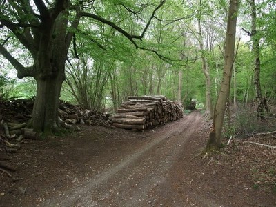 Foto A2 Der Clarendon Way am Rande von Lower Noad's Copse Common, um 2010
