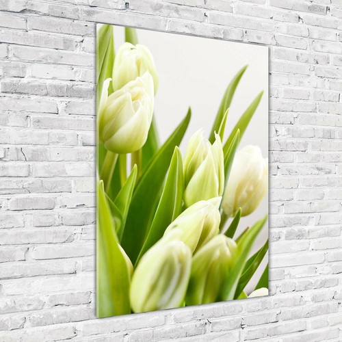 Impression Sur Verre Tulup Acrylic Glass Mural Art 120x60cm - Image Verre Plastique Déco Mural Acrylic Glass Picture Cascada En El Bosque Tableaux Decoratifs Muraux