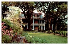Natchez, MS - The Elms Postcard Chrome Unpost...