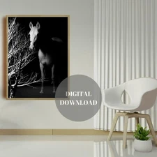 Black and White Horses Portraits Wall Art ~  Printable Digital Download