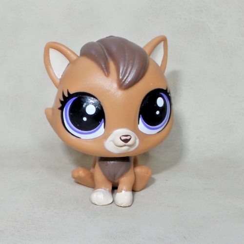 Littlest Petshop Pet Shop LPS Authentic Hasbro cat post Card Main Coon 1582 Chat : Achat occasion | Figurines Hasbro Vert Plastique 6 ans - 8 ans Très bon état