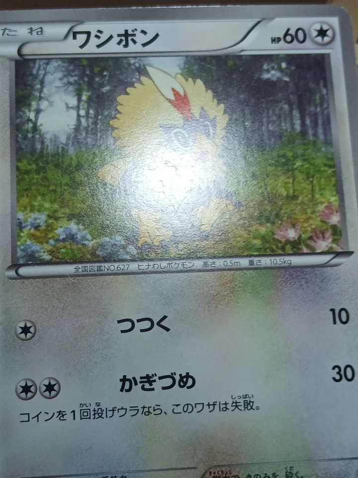 HP/DMG Rufflet - Battle Strength Deck BK 007/014 Japanese Pokemon Card - Image 4 of 4