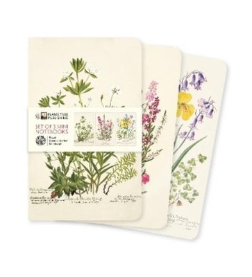 Flame Tree Stud Royal Botanic Garden Edinburgh Set of 3 Mini Noteboo (Notebook)