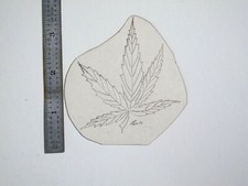 vtg 1960s 1970s Tattoo Flash acetate stencil Weed Pot Leaf signed v3 WEED2