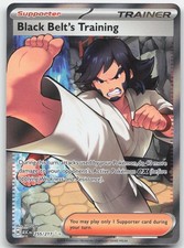 Black Belt's Training 255/217 Ultra Rare Ascended Heroes Pokemon Holo Near Mint