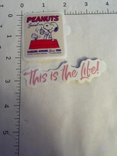 STICKER: Peanuts Charlie Brown Snoopy Woodstock reusable