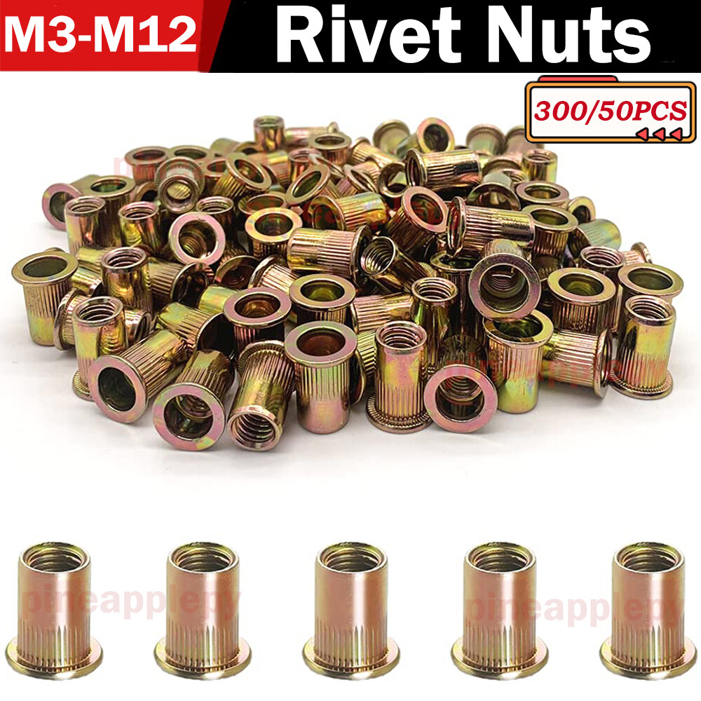 300X Rivet Nut Kit Zinc Plated Finish Carbon Steel Flat Head Threaded Insert Nut-image