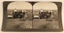 Australia Wheat Stereoview Photo Massey Harris Combine Keystone