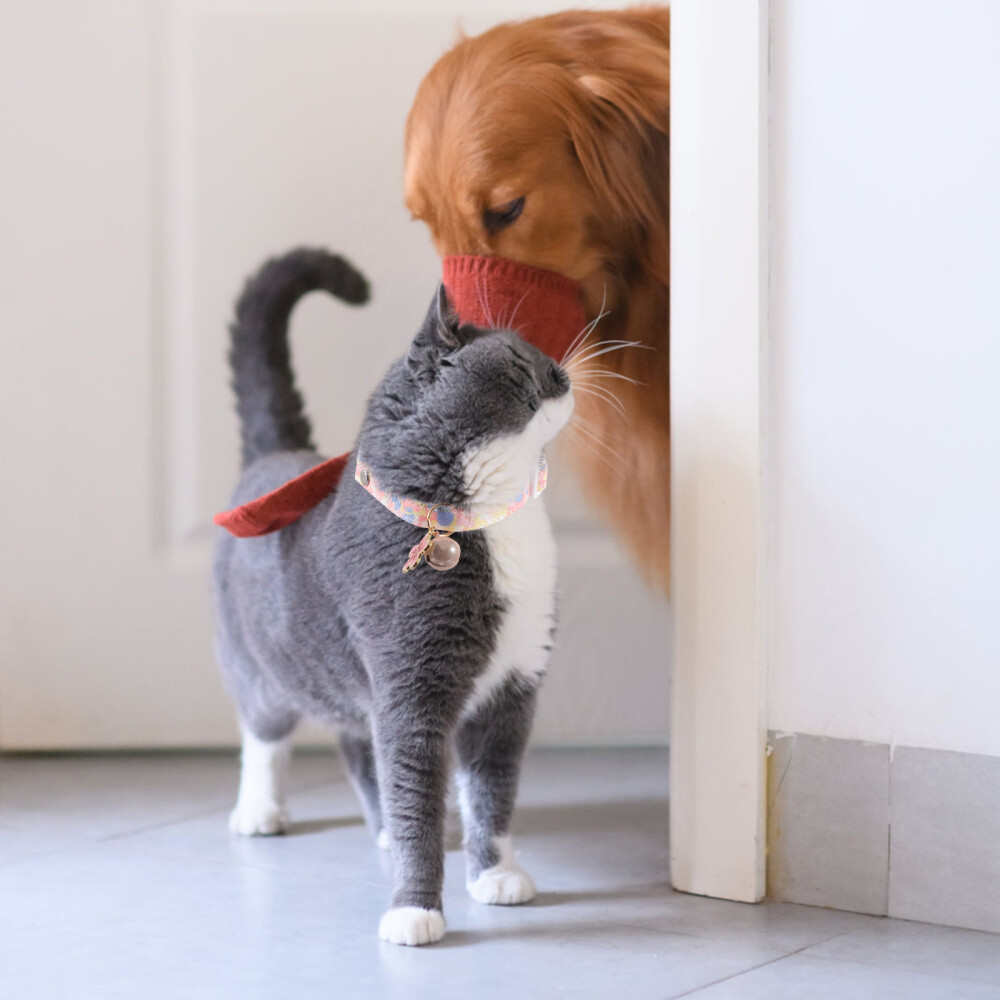 Cat Collar Pet Kitten Neck Collar Adjustable Pet Cat Collar Decorative