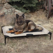 Original Steel Frame Pet Cot Elevated Dog Bed, Taupe/Black, X-Large