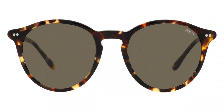 Óculos de Sol Polo Ralph Lauren Masculino PH4193 6083/3 51mm Havana - Lente Marrom - NOVO - Imagem 2 de 4