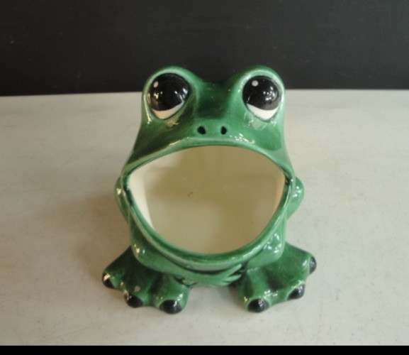 Adorable Frog-Shaped Sponge Holder for Your Kitchen Sink-image