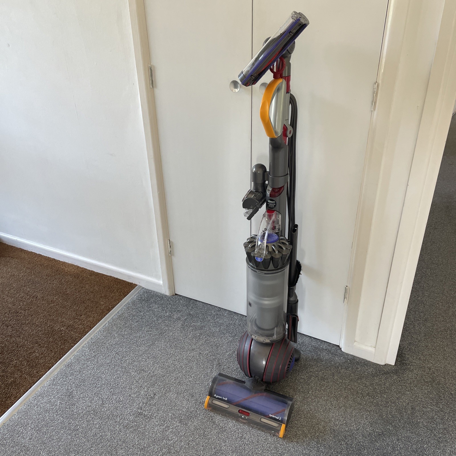 Dyson Ball  Upright Vacuum Cleaner  Animal 2 Carpet Cleaner Pet