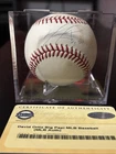 David Ortiz Big Papi Signed Autographed Major League Baseball Ball Steiner COA