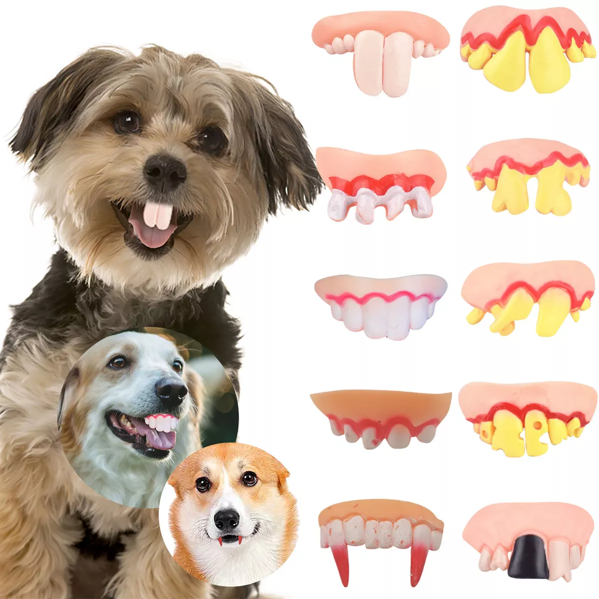 Dog cheap teeth toy