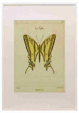 Dumenil  France 1821 Alexanor A3 A4 Framed Print Picture