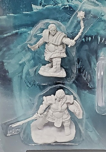 DWARF FEMALE FIGHTER D&D Nolzur's Marvelous Miniatures WizKids WZK90406 - Picture 3 of 4