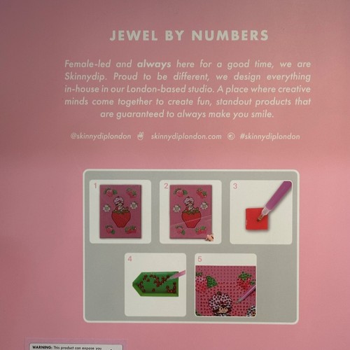 Skinnydip STRAWBERRY SHORTCAKE Jewel by Numbers Kit Diamond Art Painting NEW - Picture 5 of 9