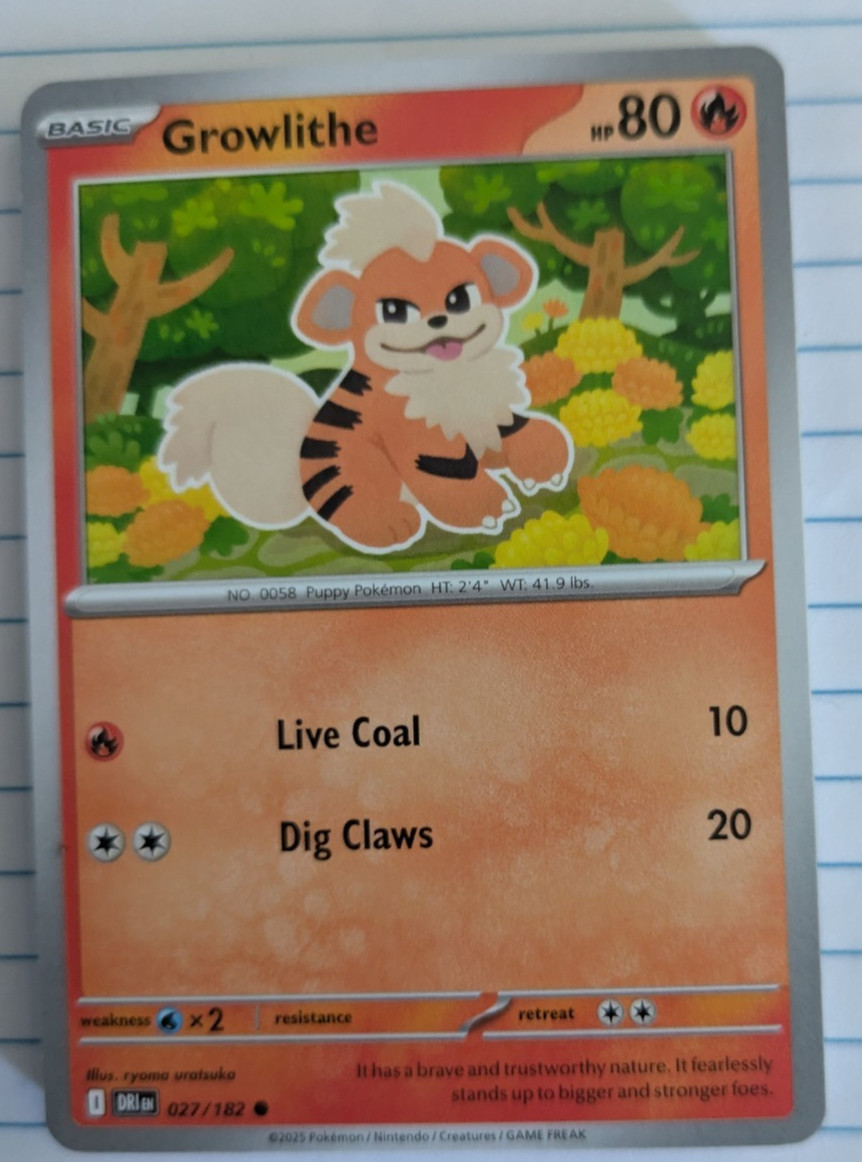 Pokémon TCG Growlithe Destined Rivals 027/182 Common Near Mint