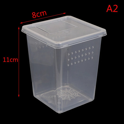 Insekten Terrarium Fütterung Box Transportbehälter Käfig durchsichtig Kunststoff - Bild 4 von 8