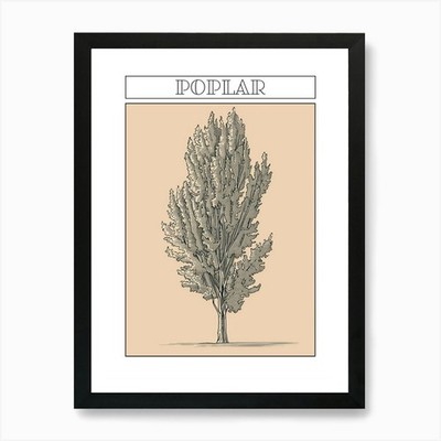 Poplar Tree Minimalistic Drawing 2  Framed Wall Art Poster Canvas Print Picture