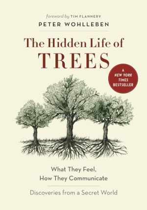 The Hidden Life of Trees by Peter Wohlleben Hardcover Acceptable Condition