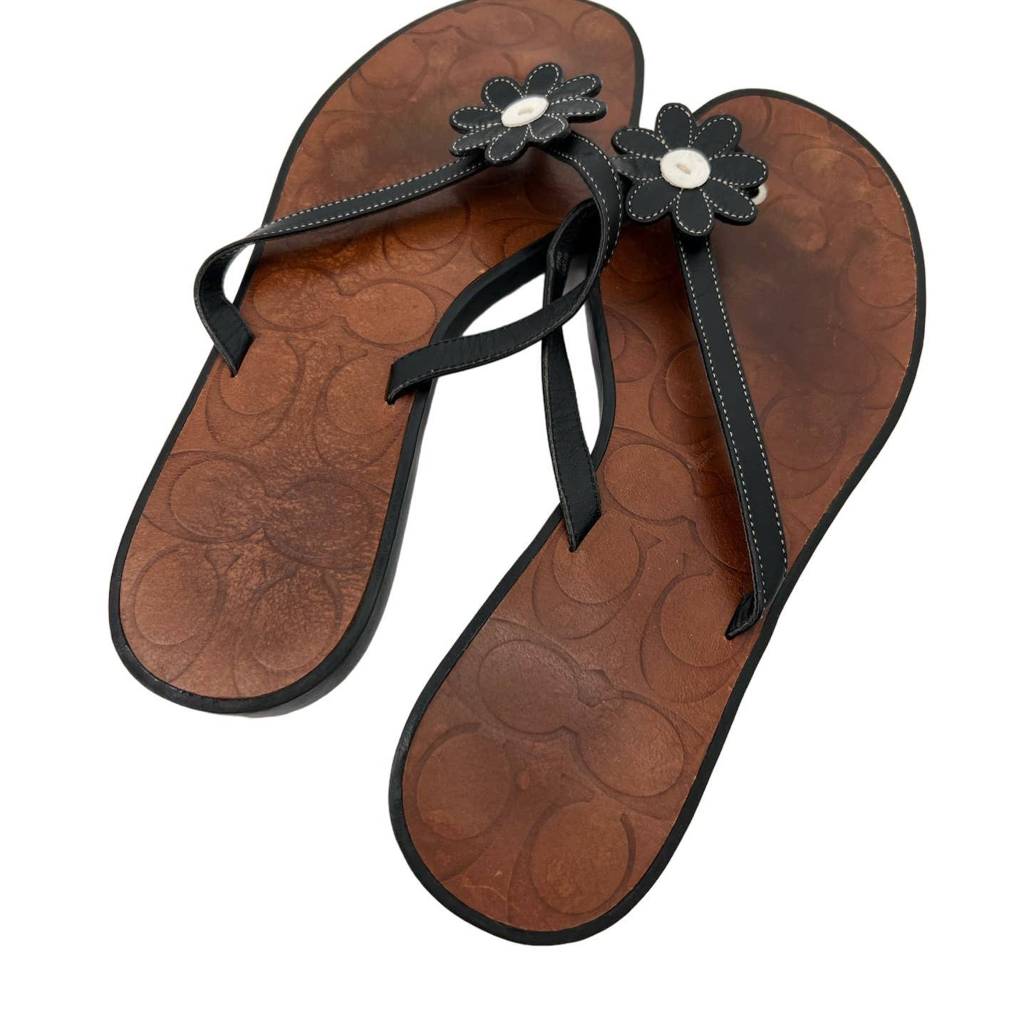 hollie flip flop coach