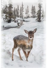 Call Of The Wild By Hoffman Fabrics - Fawn Deer Panel V5211-345