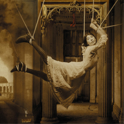 Porcupine Tree Signify (Vinyl) 12'' Album