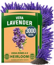 HOME GROWN Non GMO English Lavender Seeds 3,000 Wildflower 2-Pack, Multi