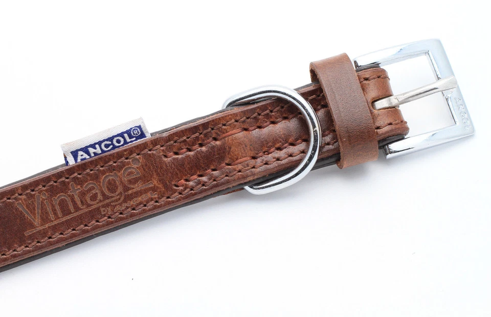 Personalisiertes Lederhalsband für Hund + optionale Leine | Präzise Lasergravur - Bild 2 von 3