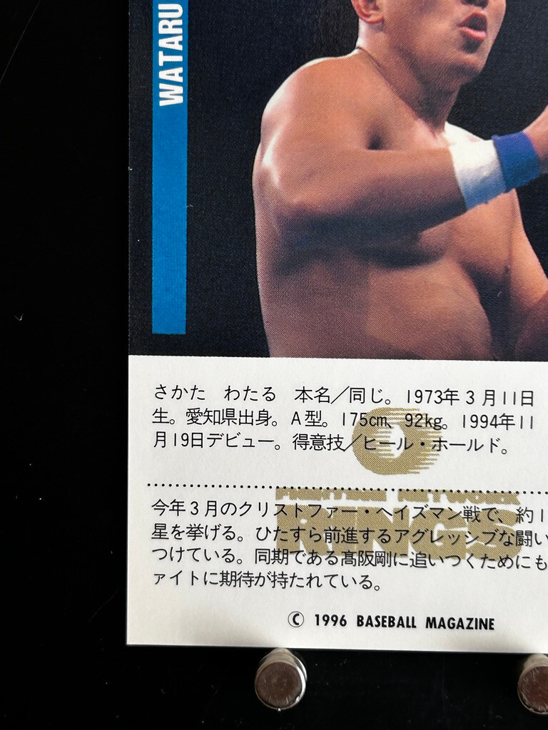 Wataru Sakata Pro Wrestling Card 111 Professional Japanese 1996