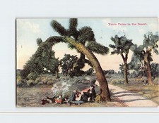Postcard Yucca Palms in the Desert